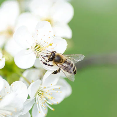 V2Ray连接故障排查全攻略：从入门到精通