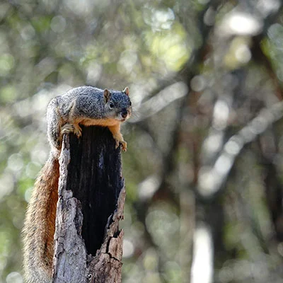 安卓V2Ray深度指南：从零开始掌握安全代理的终极配置