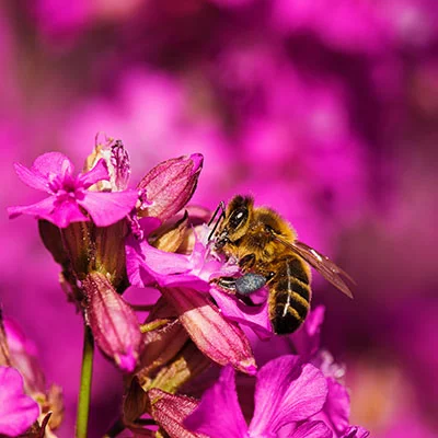 解压安装包至应用程序目录